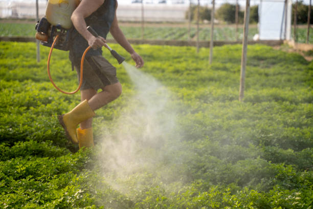 Best Affordable Pest Control Services  in Ouray, CO