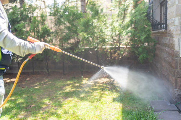 Best Wildlife Control Services  in Ouray, CO
