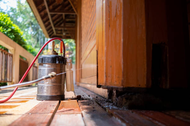Best Pest Removal Services  in Ouray, CO